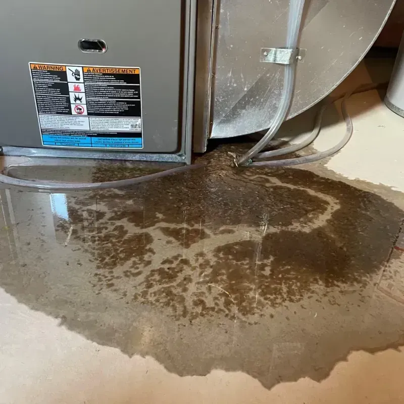 Appliance Leak Cleanup in Rapid Valley, SD